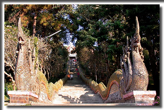 Doi-Sutep-steps-w