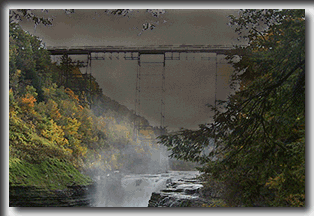 Todd-McCoy-animation